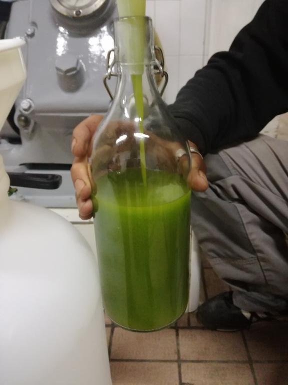 蒙特利奇农家乐 菲耶索莱 外观 照片